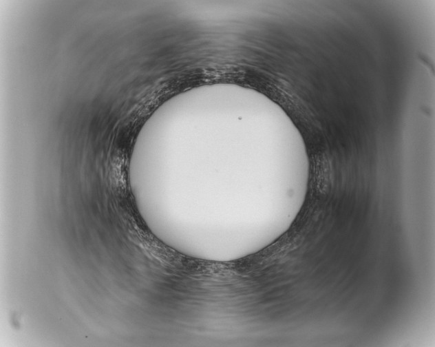 X0000102250770200808151816