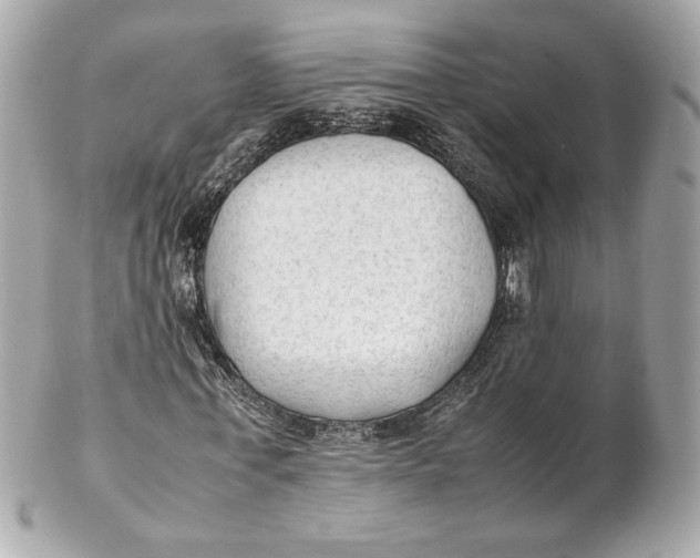 X0000102250771200808151816