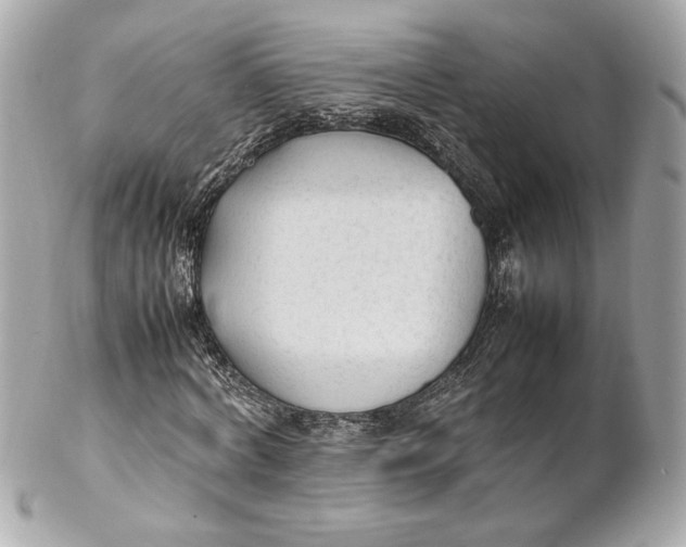 X0000102250772200808151816