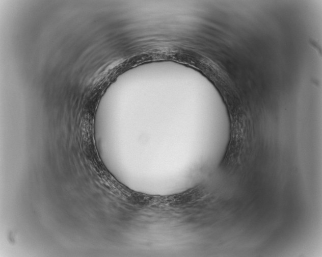 X0000102250773200808151816