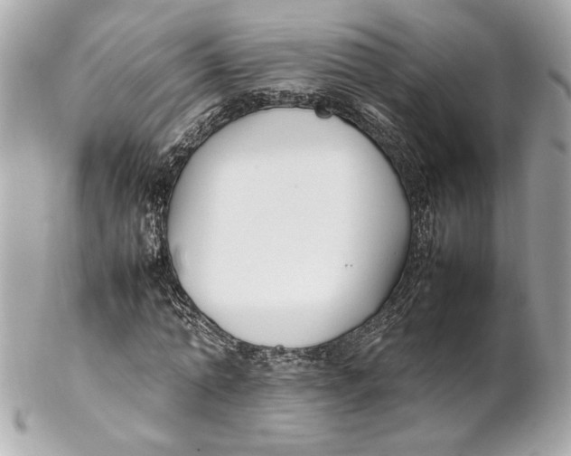 X0000102250774200808151816