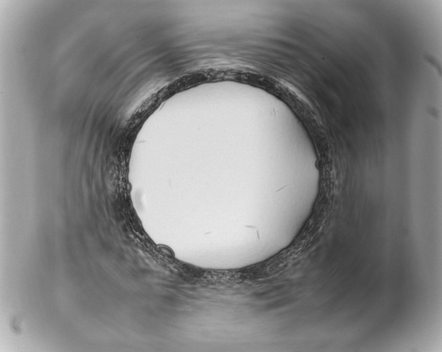 X0000102250775200808151816