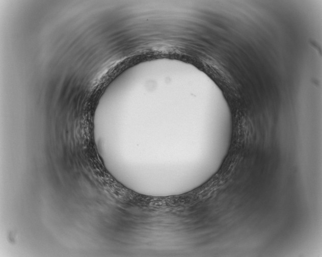 X0000102250776200808151816