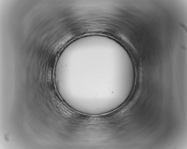 X0000102250777200808151816