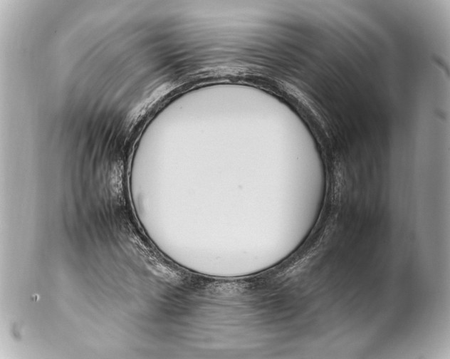 X0000102250778200808151816