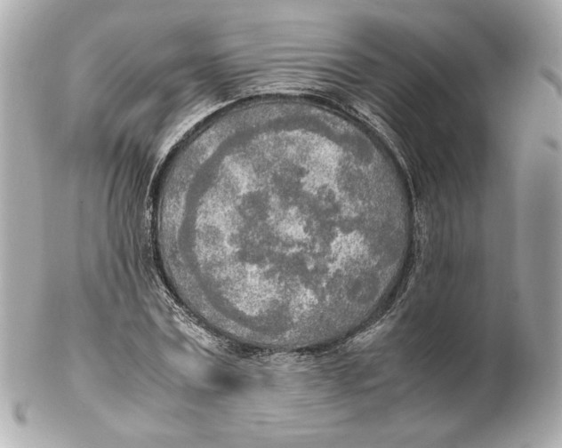 X0000102250779200808151816