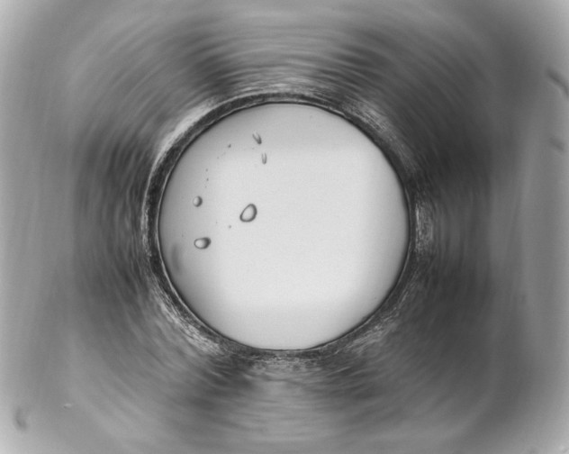 X0000102250780200808151816