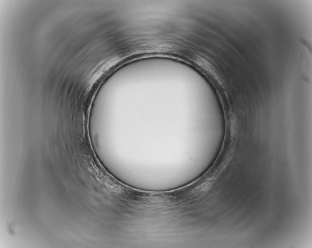 X0000102250781200808151816