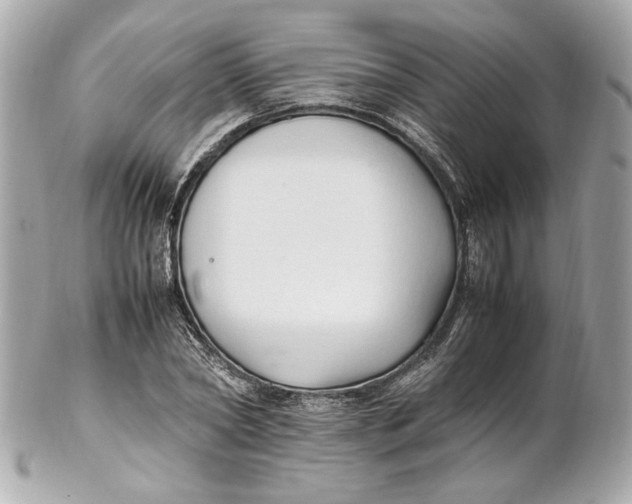 X0000102250782200808151816