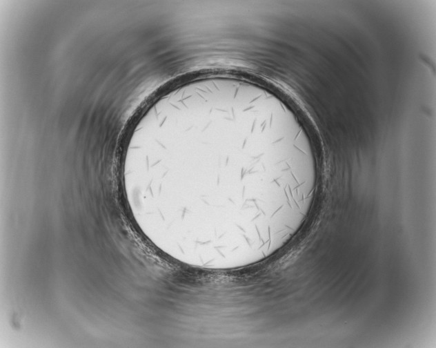 X0000102250783200808151816