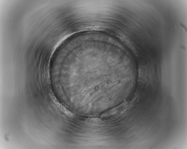 X0000102250784200808151816