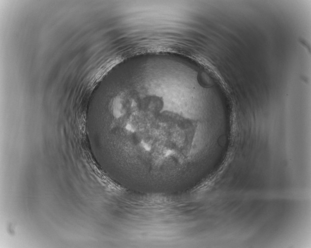 X0000102250785200808151816