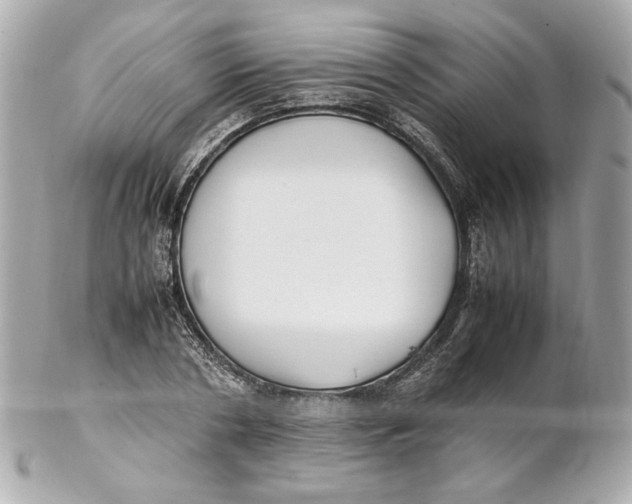 X0000102250786200808151816