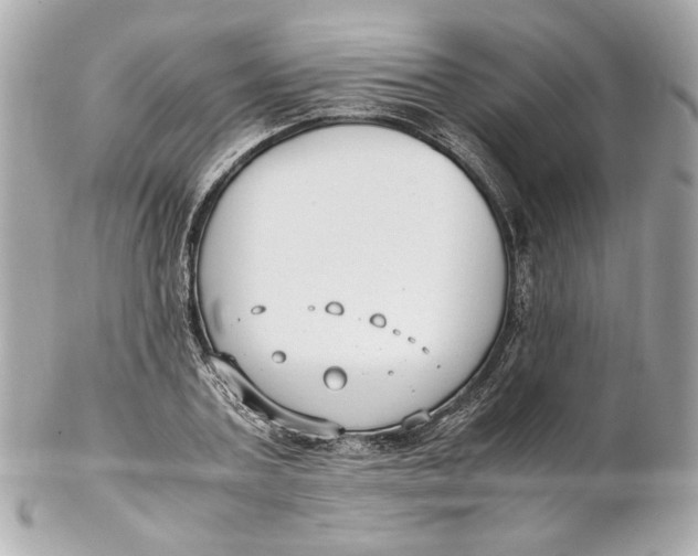 X0000102250787200808151816