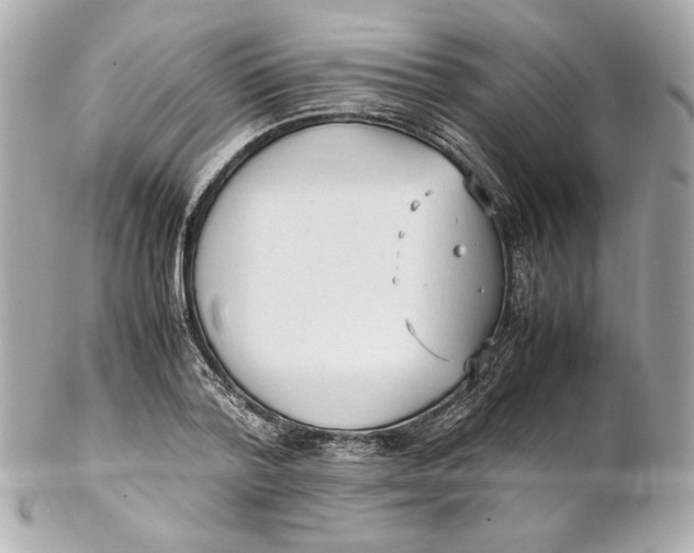 X0000102250788200808151816