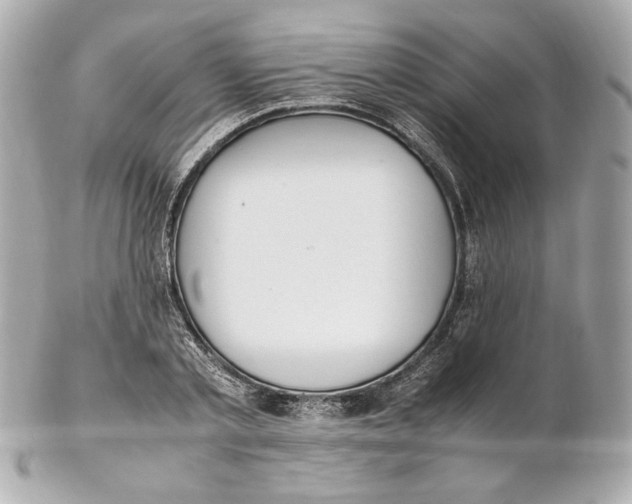 X0000102250789200808151816