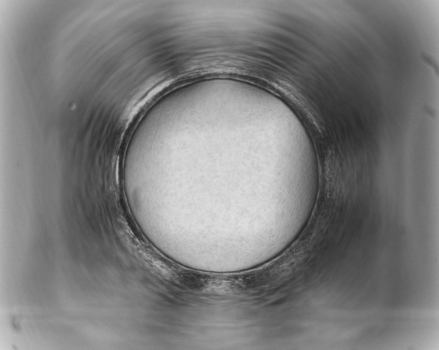 X0000102250790200808151816