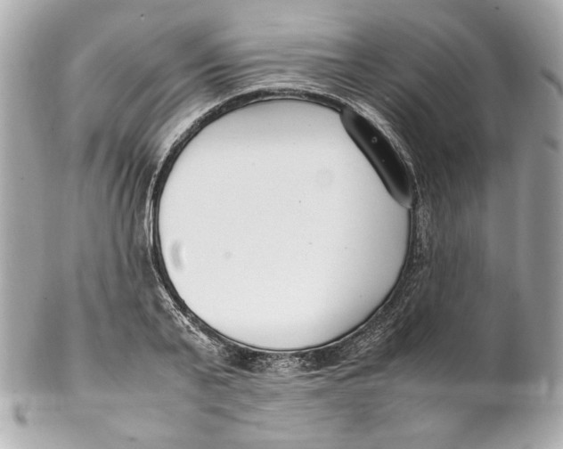 X0000102250791200808151816