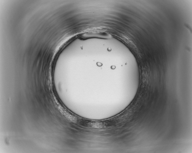 X0000102250792200808151816