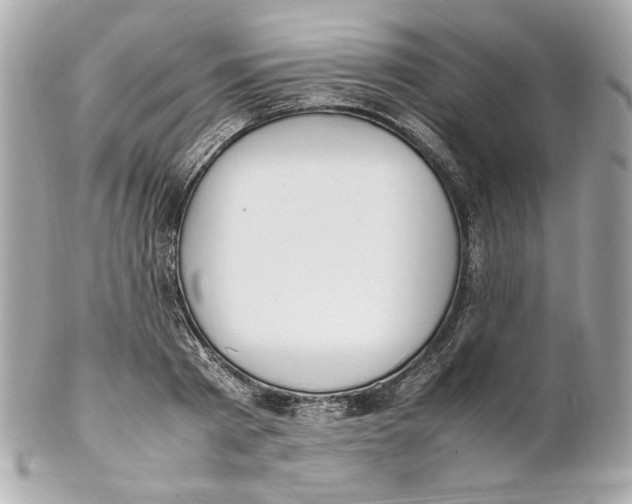 X0000102250793200808151816