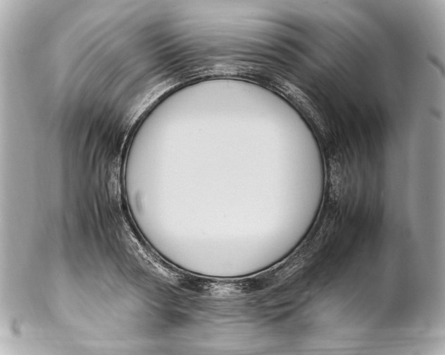 X0000102250794200808151816