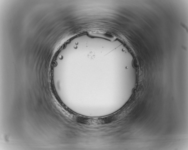 X0000102250795200808151816