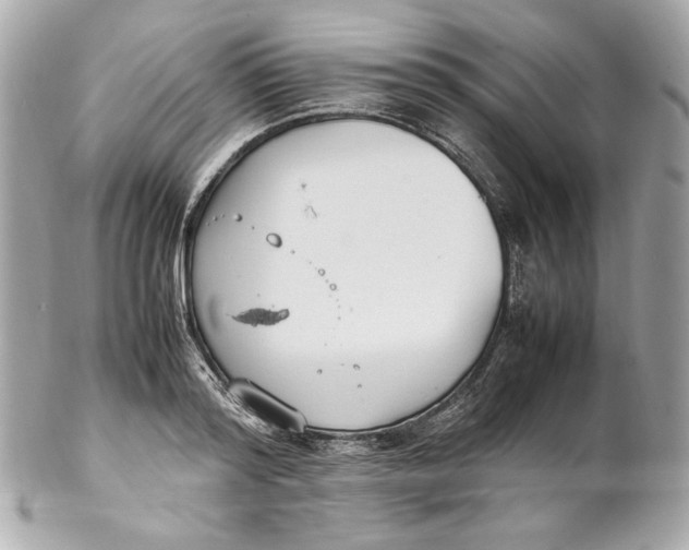 X0000102250796200808151816