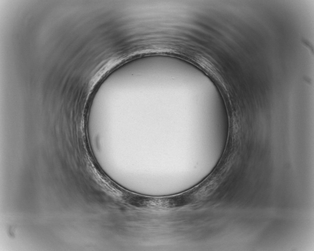 X0000102250797200808151816