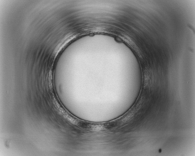 X0000102250798200808151816