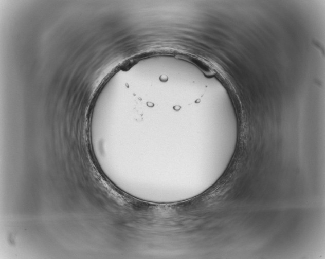 X0000102250799200808151816