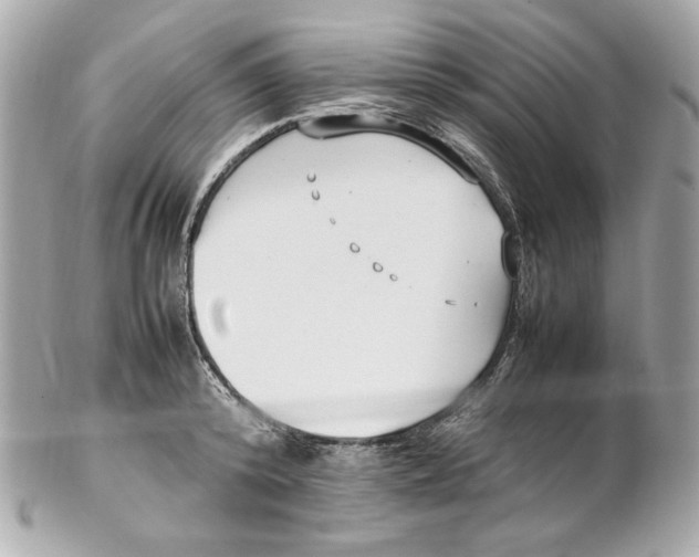 X0000102250800200808151816