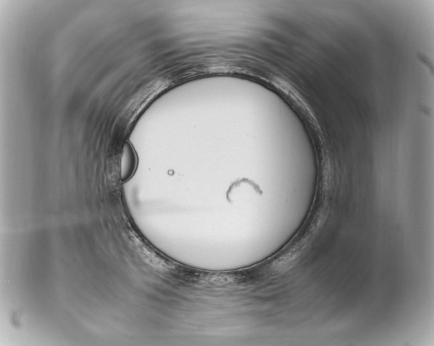 X0000102250801200808151816