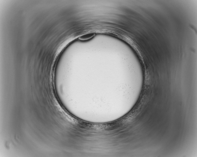 X0000102250803200808151816