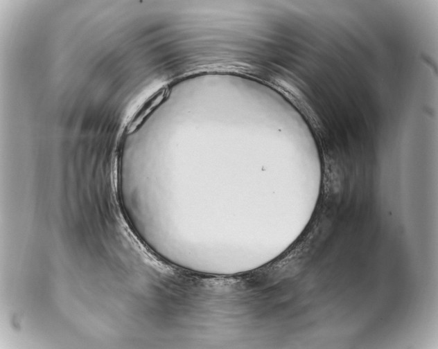 X0000102250804200808151816