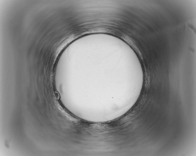 X0000102250805200808151816