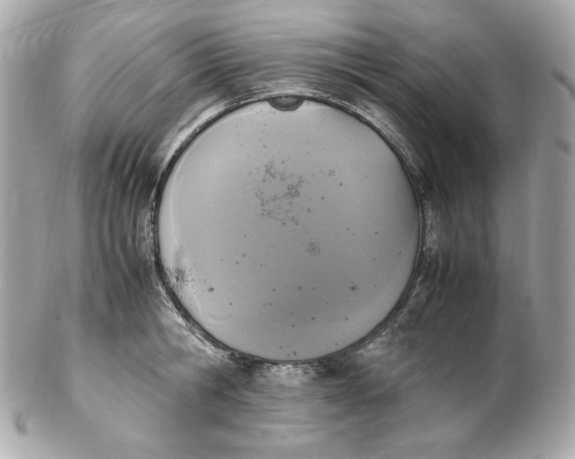 X0000102250806200808151816