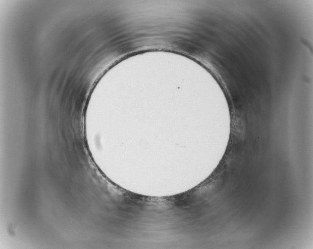 X0000102250807200808151816