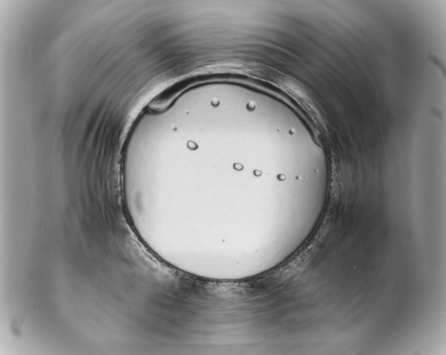 X0000102250808200808151816