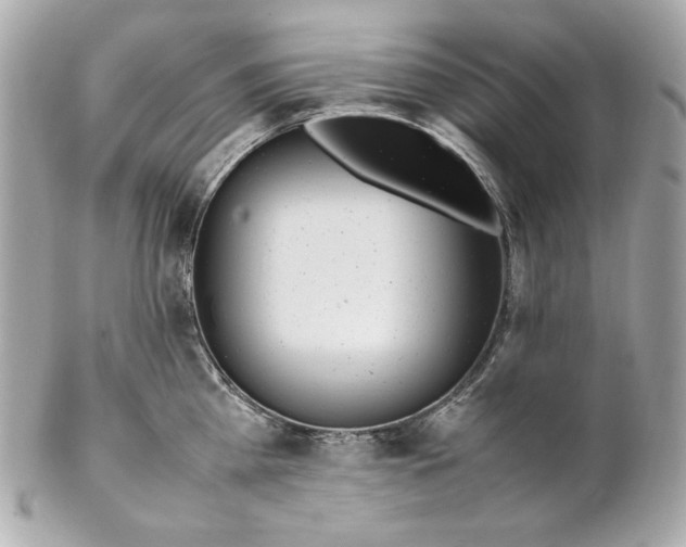 X0000102250809200808151816