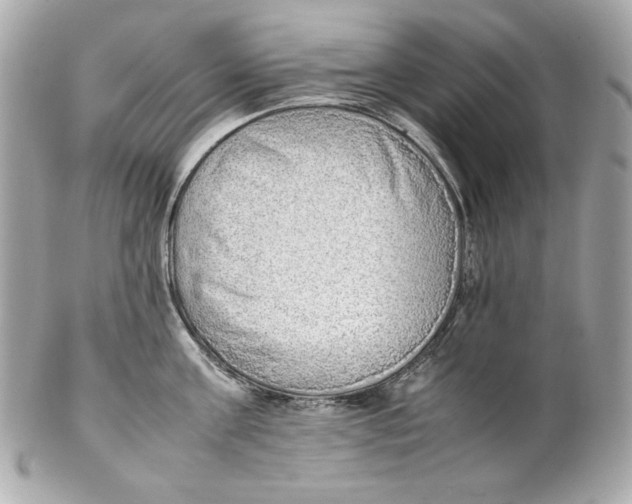 X0000102250811200808151816