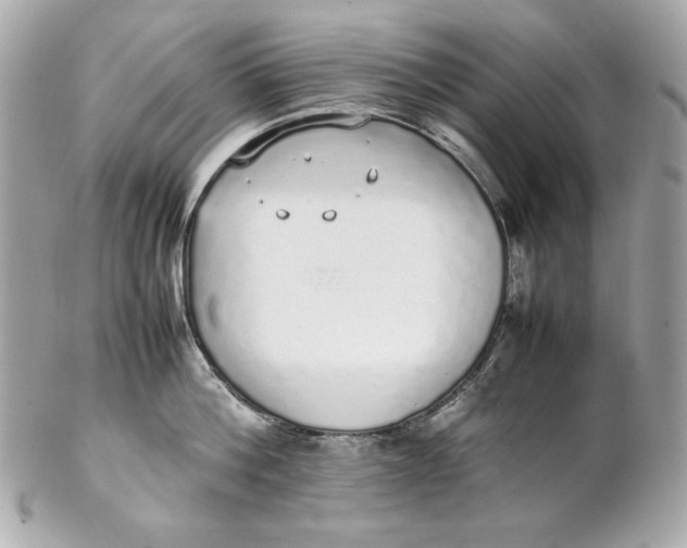 X0000102250812200808151816