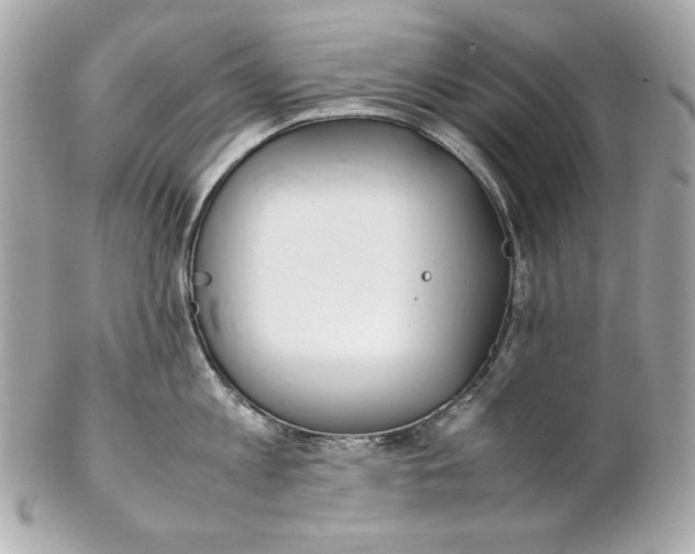 X0000102250813200808151816