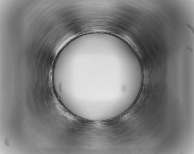 X0000102250814200808151816