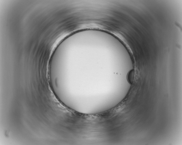 X0000102250815200808151816