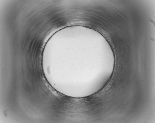 X0000102250816200808151816