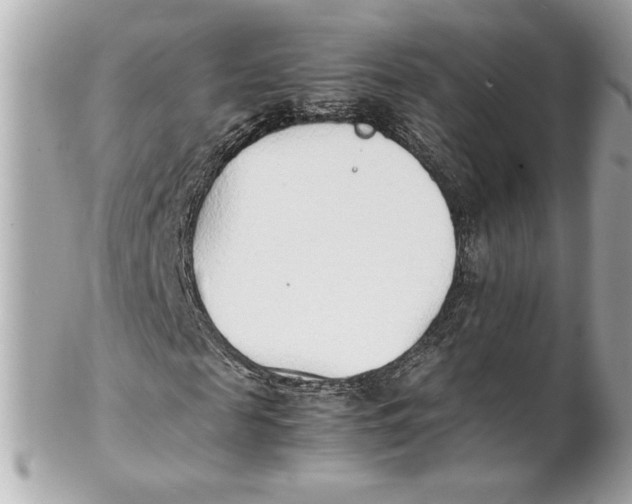 X0000102250817200808151815