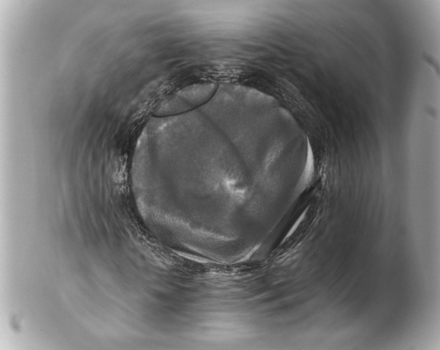 X0000102250818200808151815