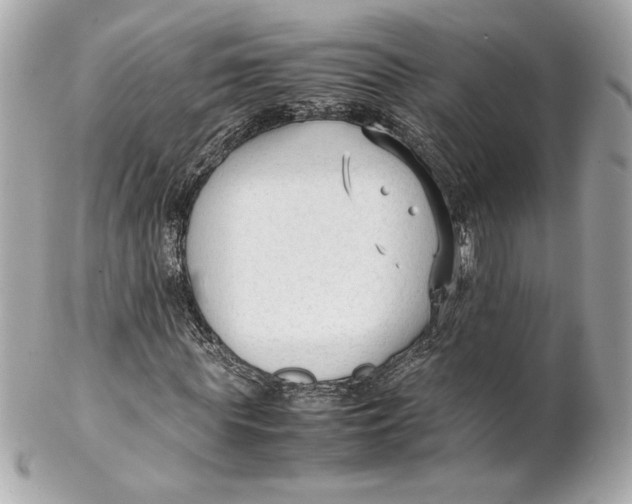 X0000102250819200808151815