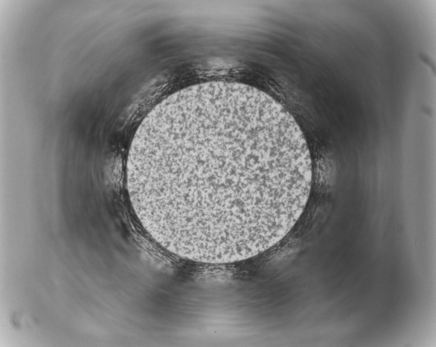 X0000102250820200808151815