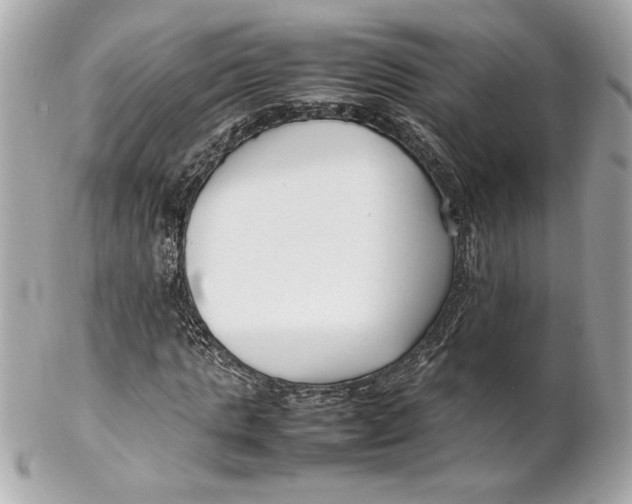 X0000102250821200808151815